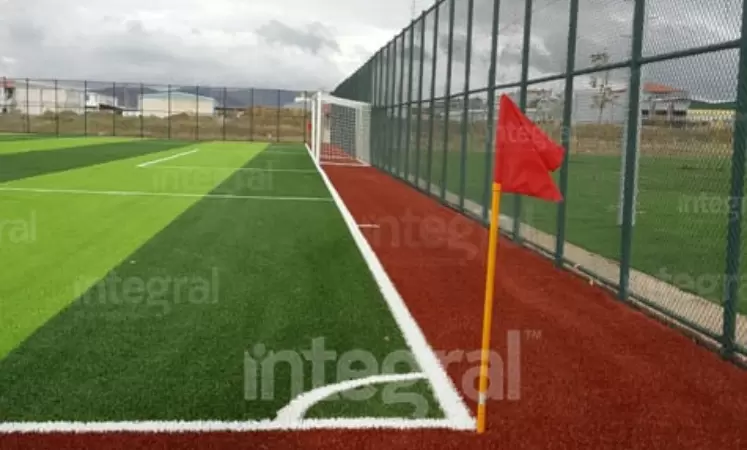 Regular Astroturf