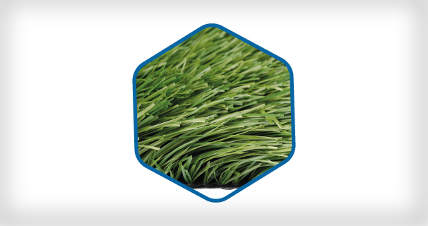 Artificial Grass Exclusive