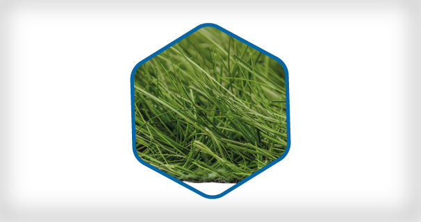 Hybrid Grass