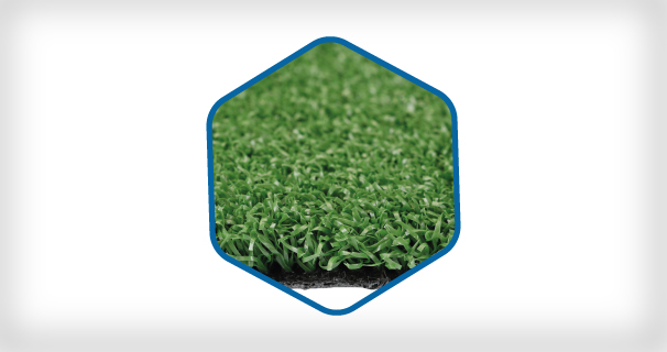 TXT Multipurpose Grass