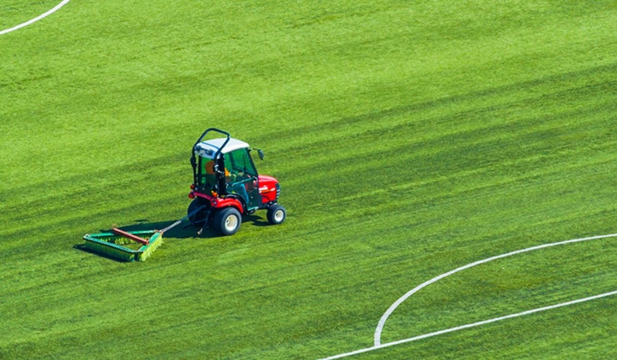 Hybrid Grass