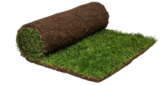 Natural Grass