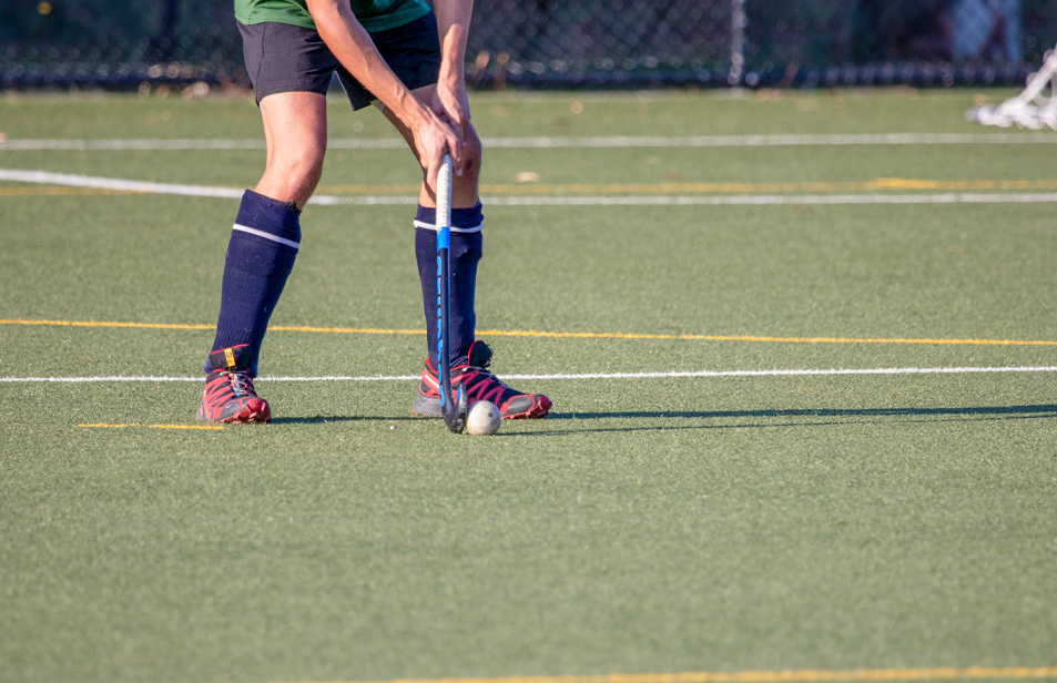 Artificial Turf Options
