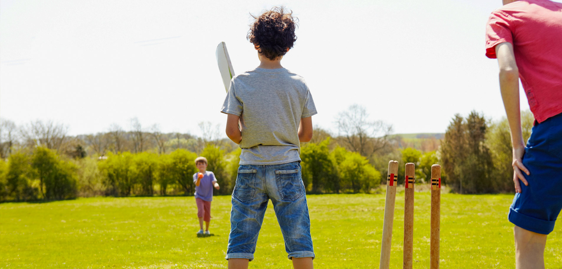 Cricket Practice Pitch