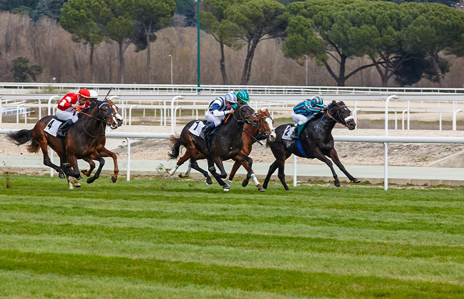 Different Ground Options 2