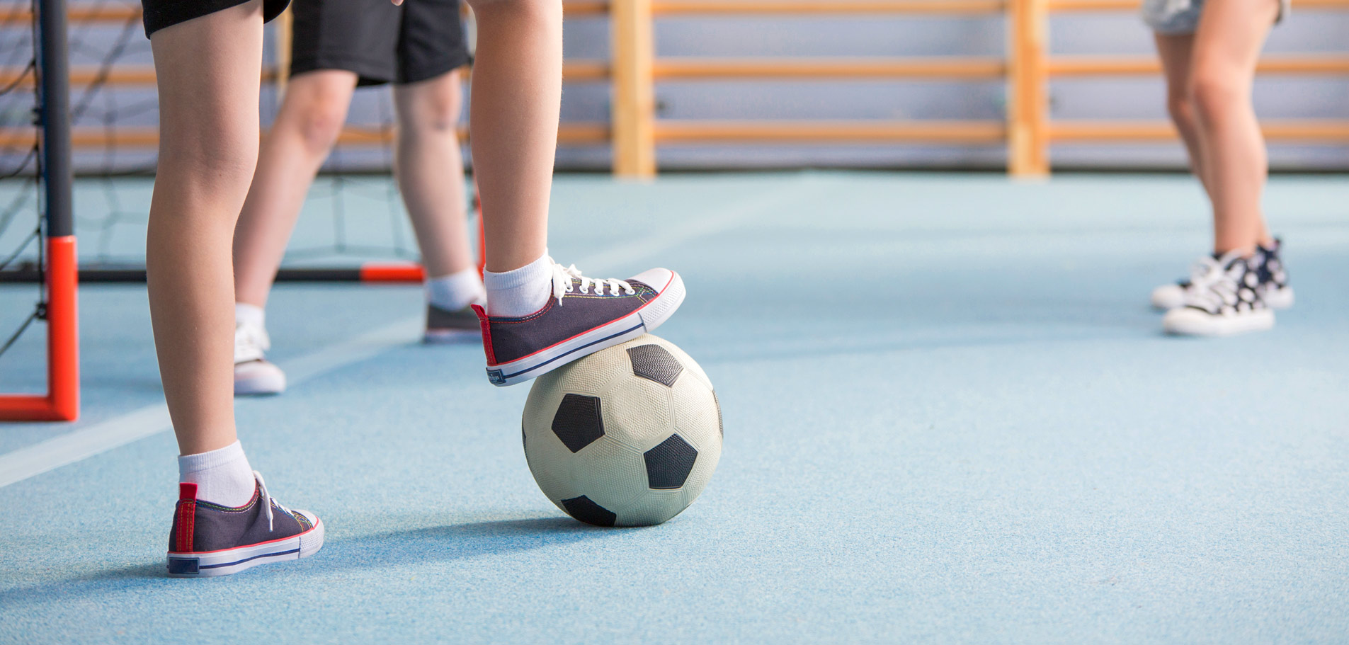 Futsal Field Suitable for All Areas