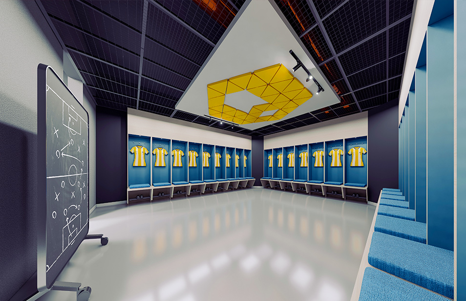 Professional Athlete Facilities