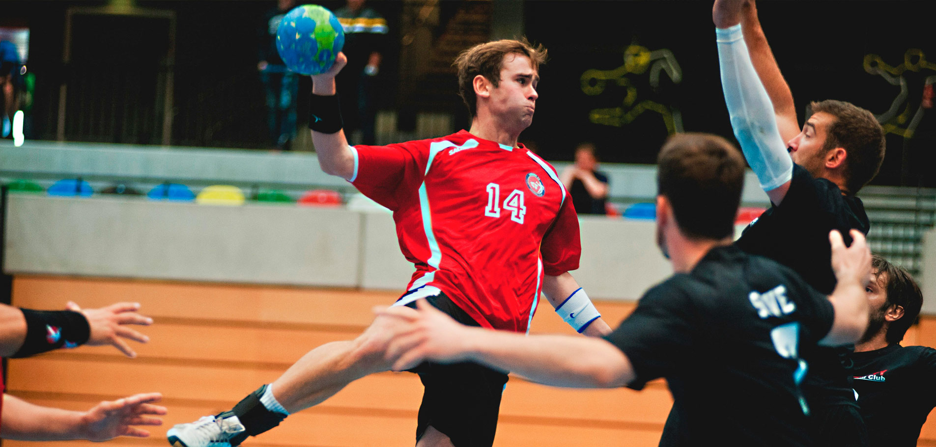 Professional Standards