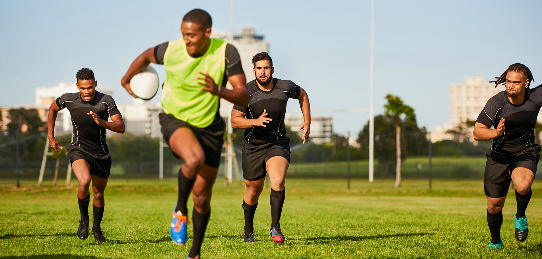 Rugby Fields 2
